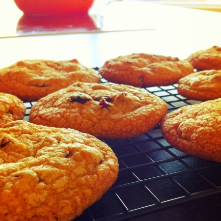 Baking: White Chocolate and Cranberry Cookies