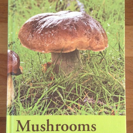 Reading: River Cottage Handbook No. 1 – Mushrooms
